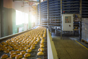 Food engineering image of bread on a conveyor belt